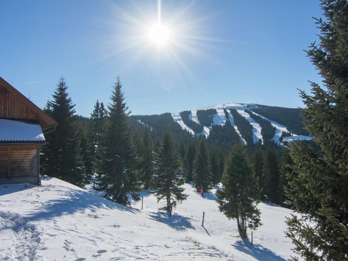 Beautiful Holiday Home In Weinebene With Sauna Obergosel Экстерьер фото
